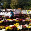 추계진료소 이미지