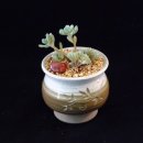 (주)블루빈 이미지