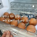 크리스탈 에스테 | 냉장고 정리의 완성! 에스테 투명 계란 트레이 내 돈 내산 찐 후기