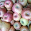 강서로 47길 이미지