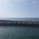 안녕 제주 이미지