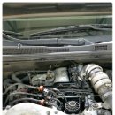 세이프 모터스 이미지