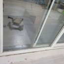 사하구 다대로 이미지