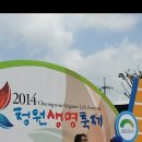 청원생명축제 소무대2번째 이미지