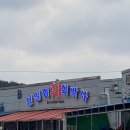 선일회박사