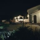 펫더가든 이미지