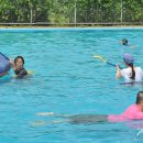 평화환경 이미지