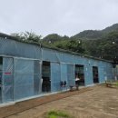 큰소나무가든 이미지