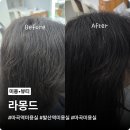 올라몽 | 발산역 미용실 라몽드 모발 클리닉 후기