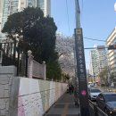 우성아파트건너편(17240) | 구리시 임장(구리한양우성, 대림한숲, LG원앙)