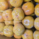 광산구-038 이미지