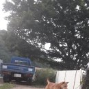 만세동농장 네이버블로그