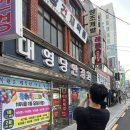 대영당안경원 이미지