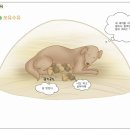 아이통곡모유육아상담실 네이버블로그
