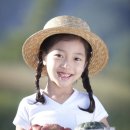 어울림편백펜션 이미지