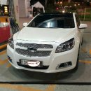 간지나 개 이미지