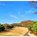 삼남개발(주) 기흥컨트리클럽 이미지