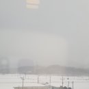 왕산초등학교 이미지