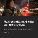 신원동물메디컬센터 | 한밤중 응급상황, 24시 동물병원이 생명을 살립니다