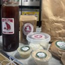 댕댕나비 이미지