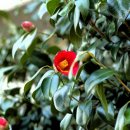 고래섬민박 이미지