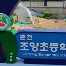 춘천조양초등학교 이미지