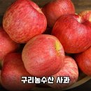 겉모습은 투박해도 속은 꿀맛! 청송 문경 부사 못난이 사과 5kg/10kg 구매 후기