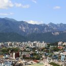 중앙동226 이미지