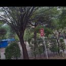 솔바람캠핑장 | [가평 캠핑장 추천] 솔바람캠핑장 가평 솔바람캠핑장, 깨끗한 캠핑의 정석