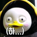 째리이미지 네이버블로그