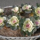 울산해양박물관 이미지