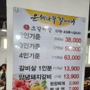 은행나무갈매기 이미지