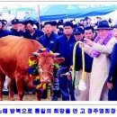 삼대인력 이미지