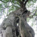 초정리경로당 이미지