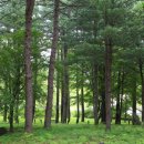 상주 남장사 영산회괘불도 | 직지사 – 경상북도 김천시