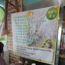 매실한우농장 이미지