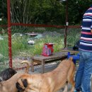 누리누리 이미지