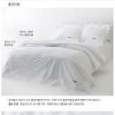 레노마홈코지네스트일산점