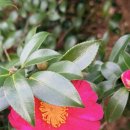 자유로운 사색가 | 내가 생각하는 만큼 누구도 나에게 관심이 없습니다 feat.글터지기