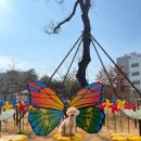 수창공원 앞 이미지