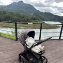 하이브리드로2 | 하이브리드 사이러스2 유모차 내돈내산 후기