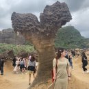 미미양품 네이버블로그