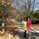 한마음전기 - 천안시 서북구 미라2길 18-4 | 한마음전기