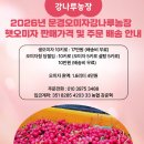 강준혁농장 Daum카페