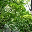 또다른이야기 이미지