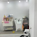 스마일댕댕 이미지