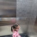 뉴 퍼시픽 이미지