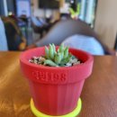 죽변198 네이버블로그