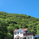초록펜션 | 남해 대형견과 함께한 애견펜션 돌담과초록 내돈내산 후기