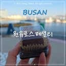 원유로스페셜티부산영도오션시티점 | [부산 영도] #원유로스페셜티 부산영도오션시티점 - 영도 숨겨진 두쫀쿠 맛집 / 태종대 카페 / 두쫀쿠...